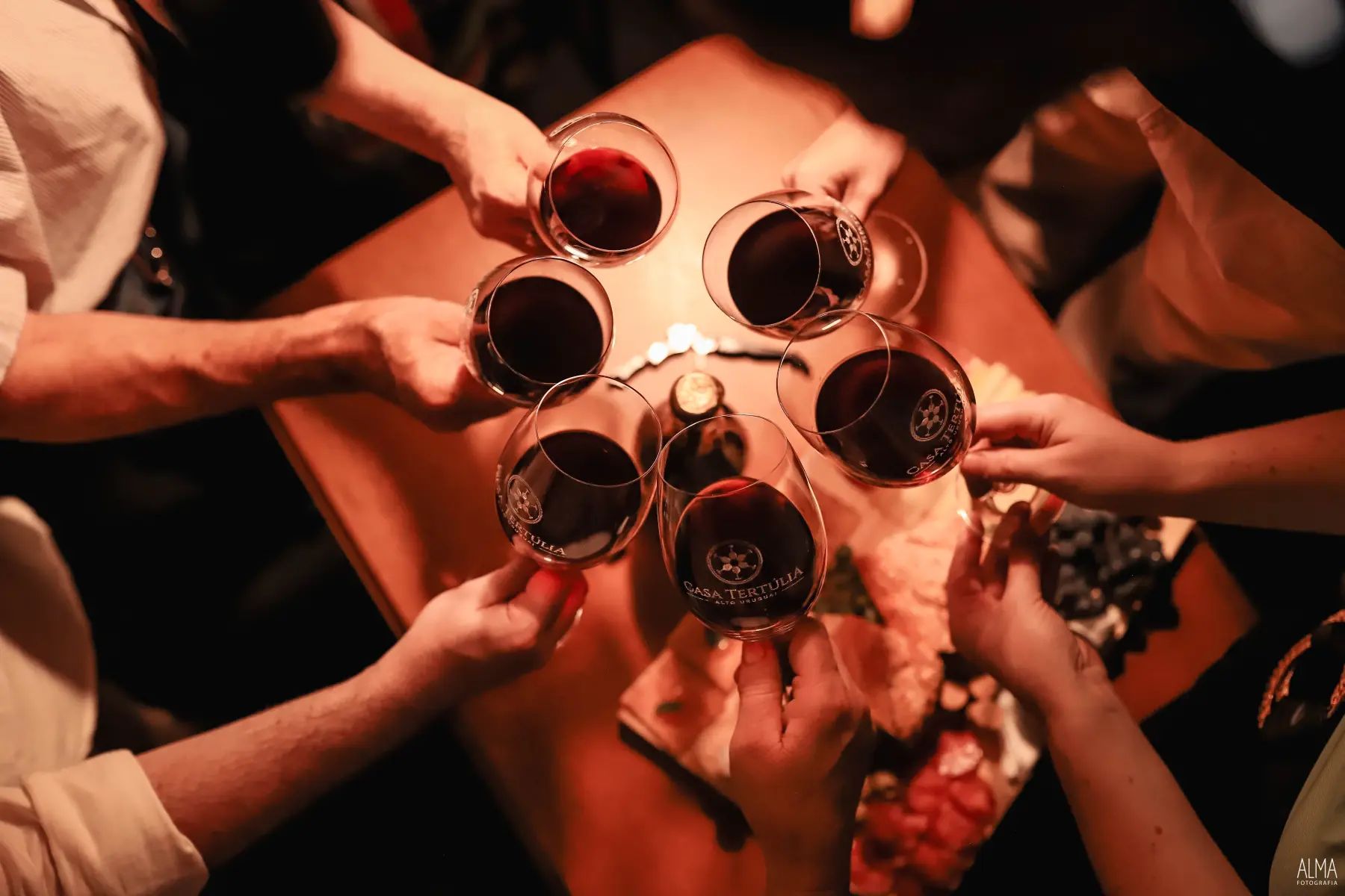 Vinicola Casa Tertulia Ltda